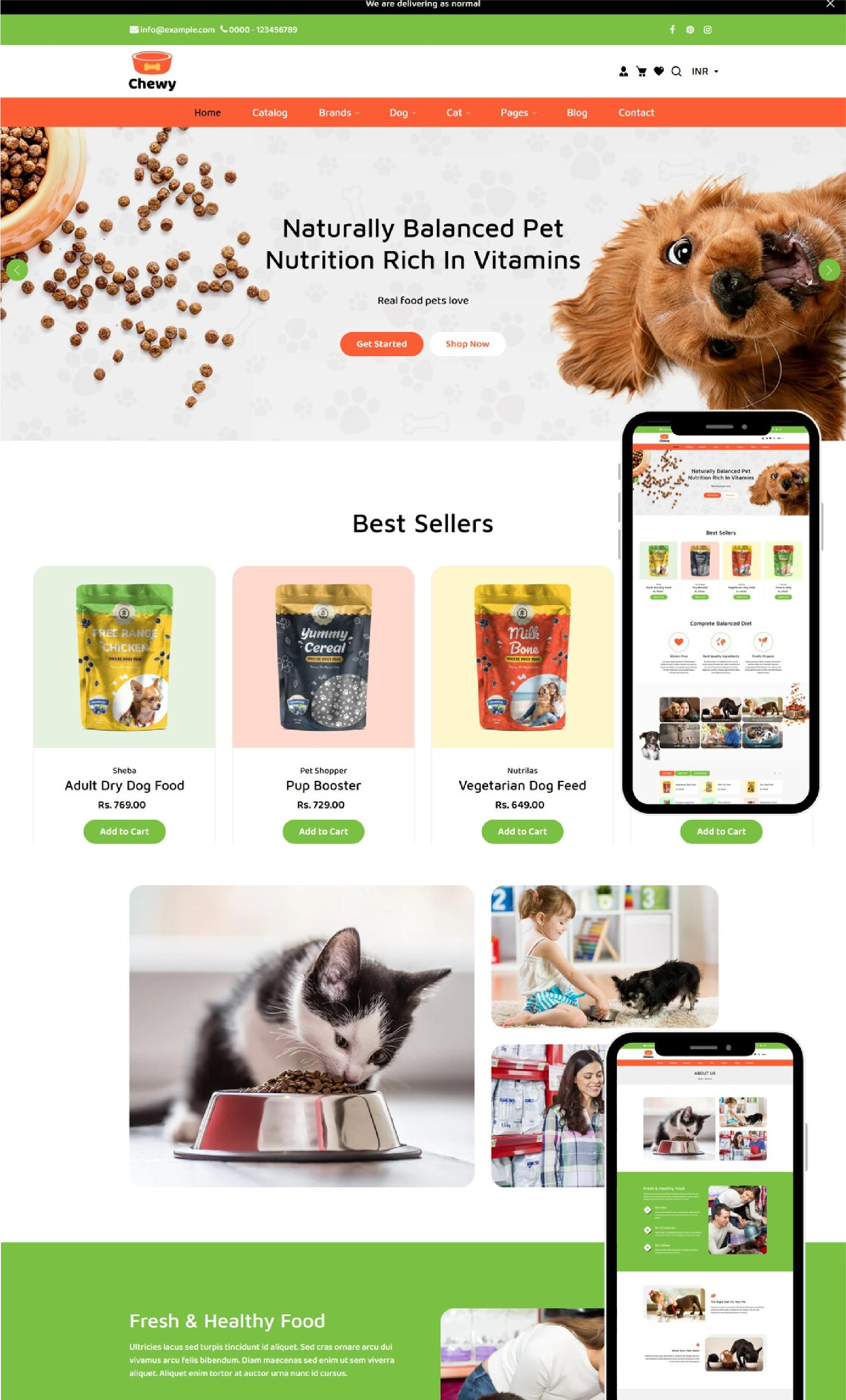 Website Design