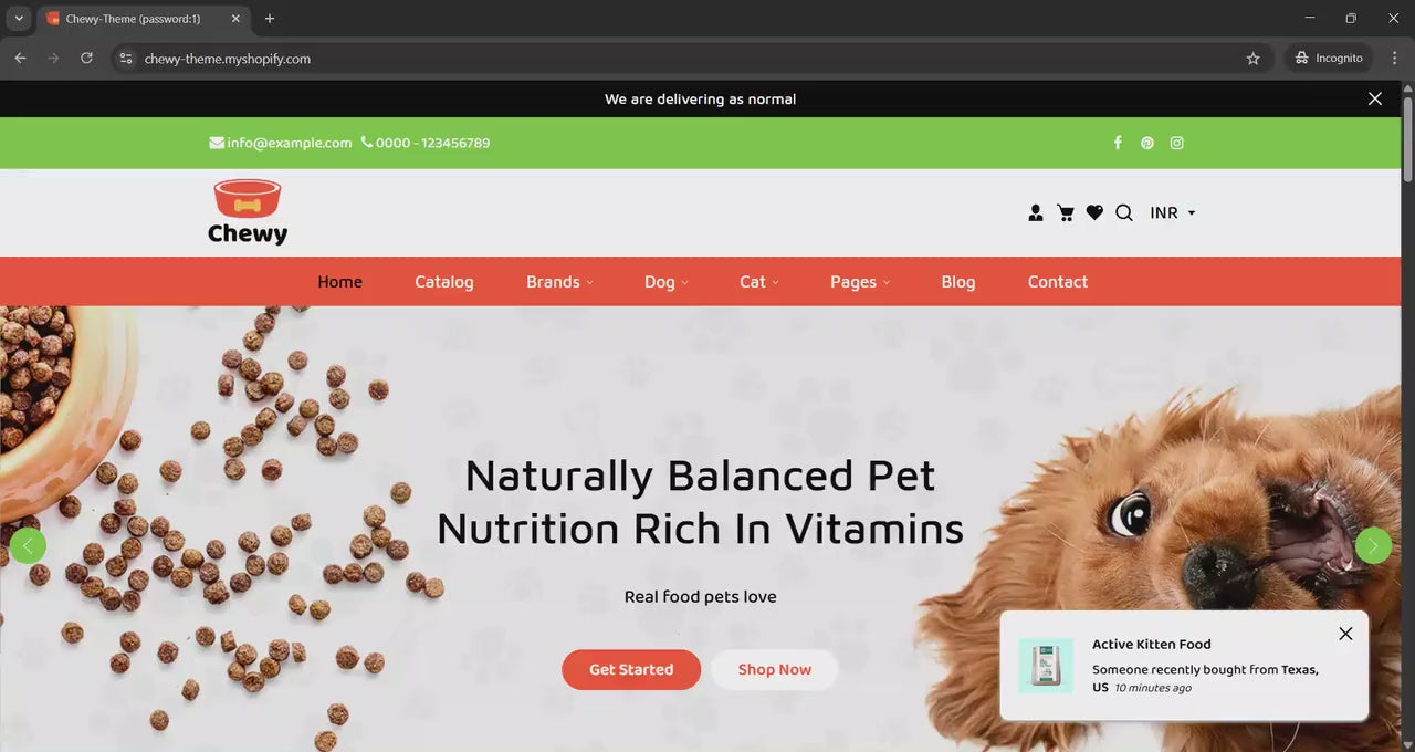 Website Design